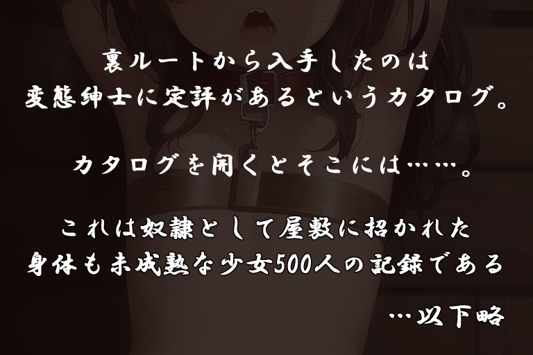 奴隷少女カタログvol.2