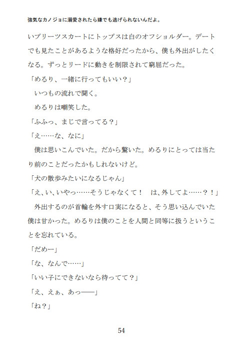 強気なカノジョに溺愛されたら嫌でも逃げられないんだよ。