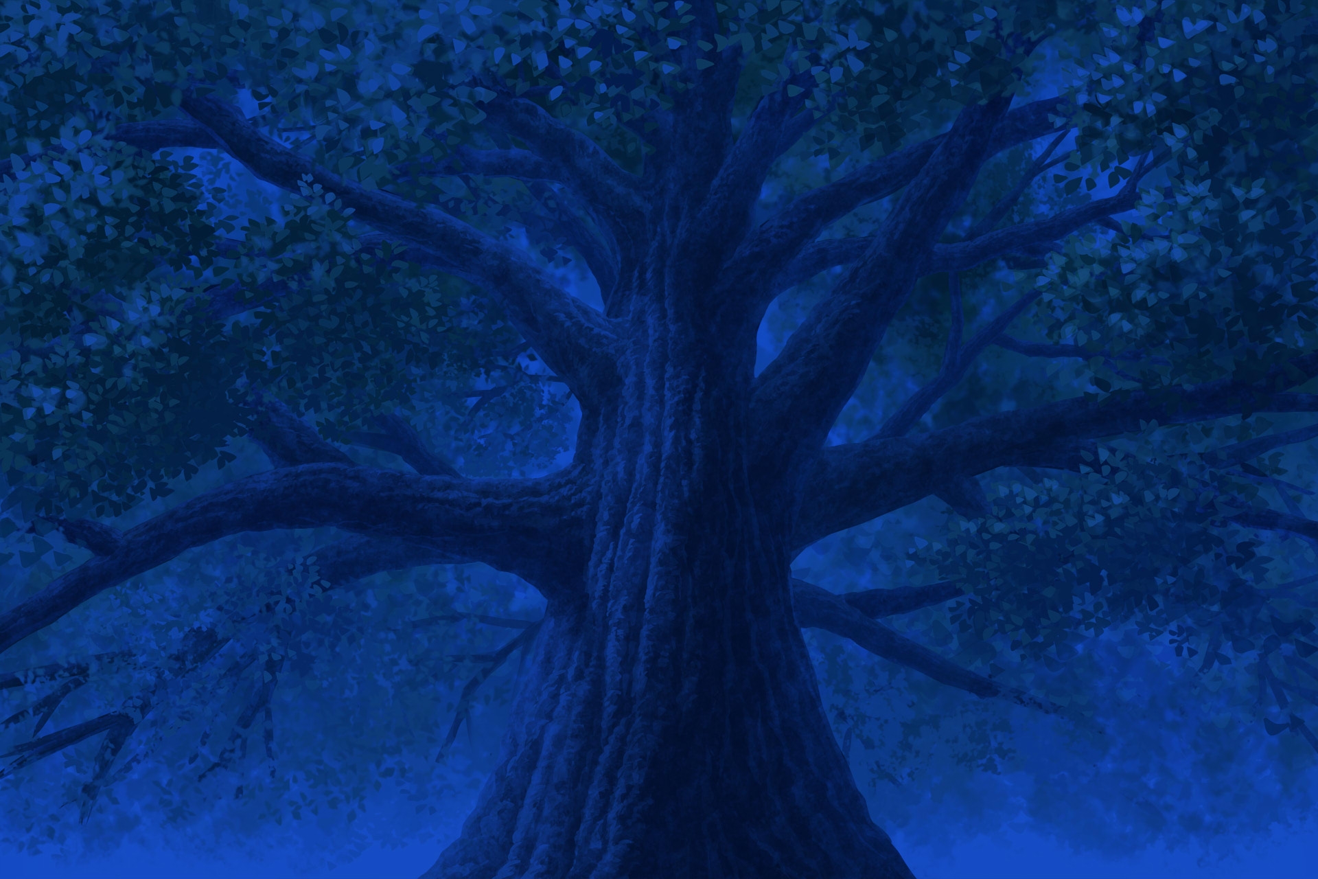 単品5種背景素材v93 世界樹