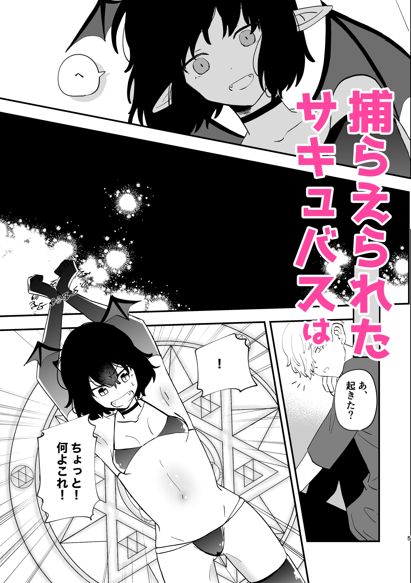 淫魔の飼い方 捕獲編