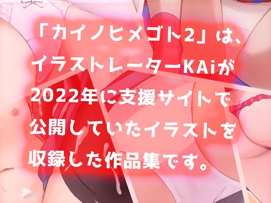 カイノヒメゴト2〜KAiイラスト集2022〜