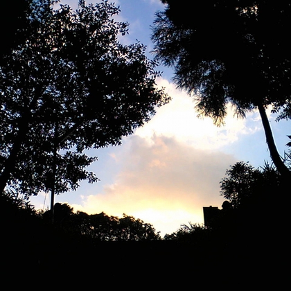 蝉の声02(バイノーラル録音)