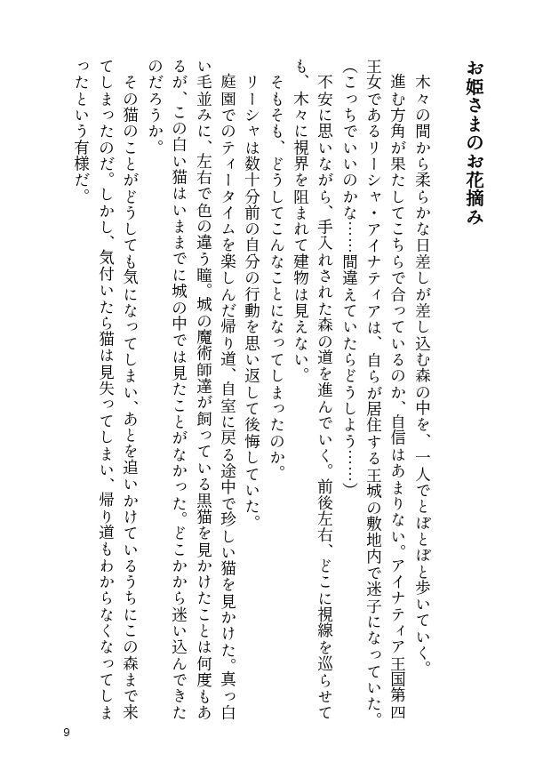 とある王国の物語