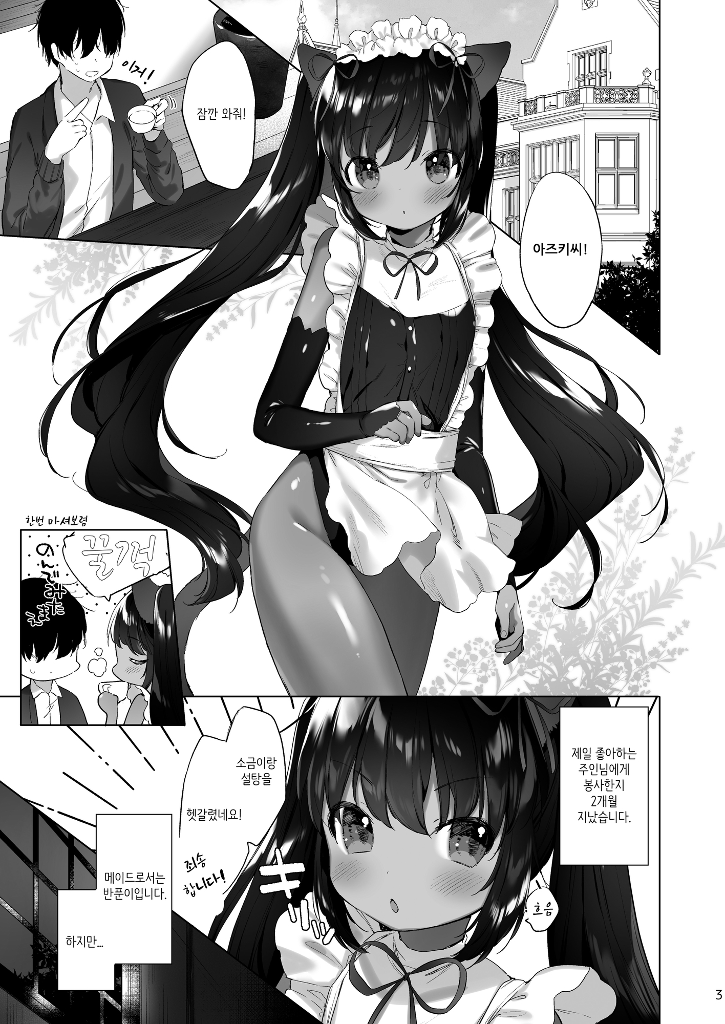 【韓国語版】あずきさんは限界です!