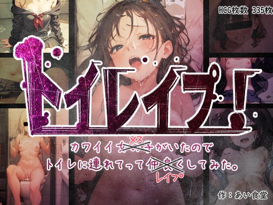 トイレイプ! カワイイメスがいたので トイレに連れてってレイプしてみた。