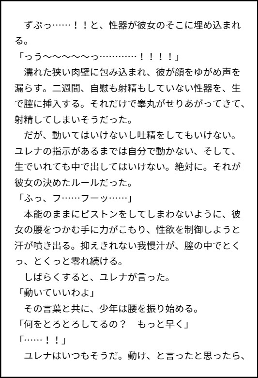 娼夫の少年が、巨乳エルフの女主人にご奉仕セックスする話