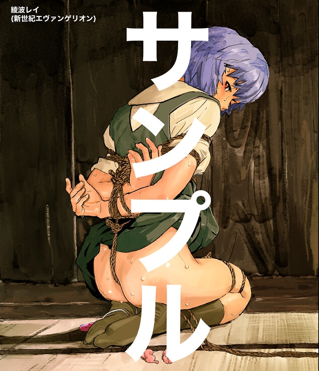 アニメキャラクターSM画集1〜9