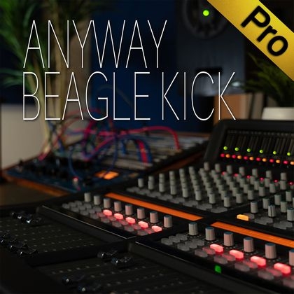 [Pro]ANYWAY Multi Track Professional Edition