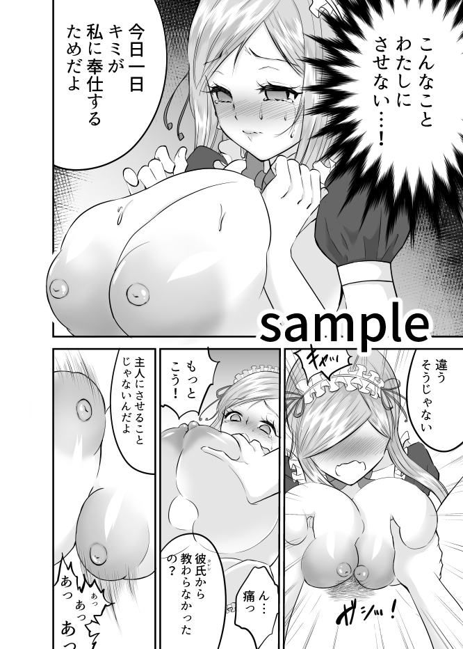 強制性接待ー誰にも言えない極秘任務ー