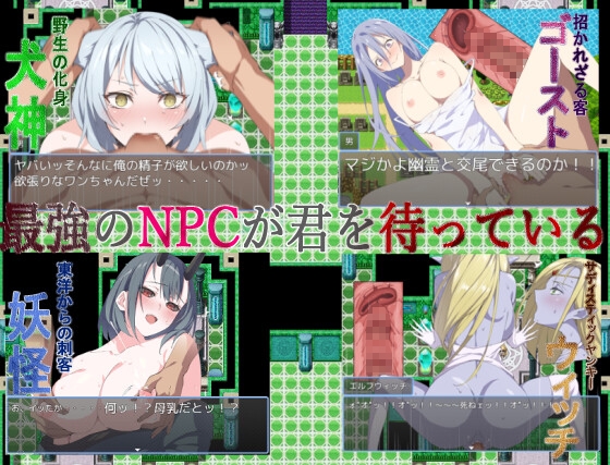 THE NPC姦