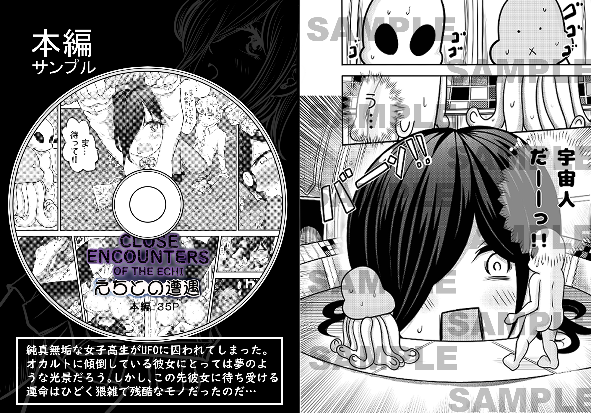 えちとの遭遇～埼玉女子高生UFO強姦事件～