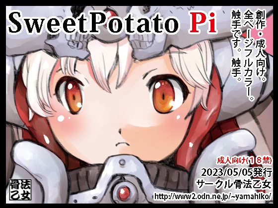 SweetPotato Pi