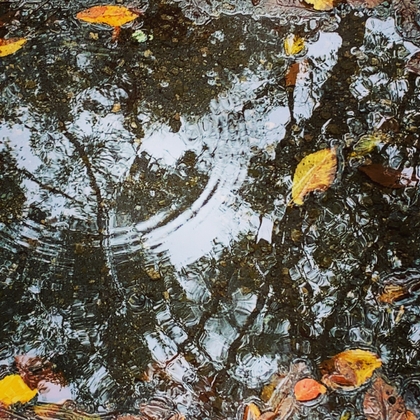 雨粒ドロップス