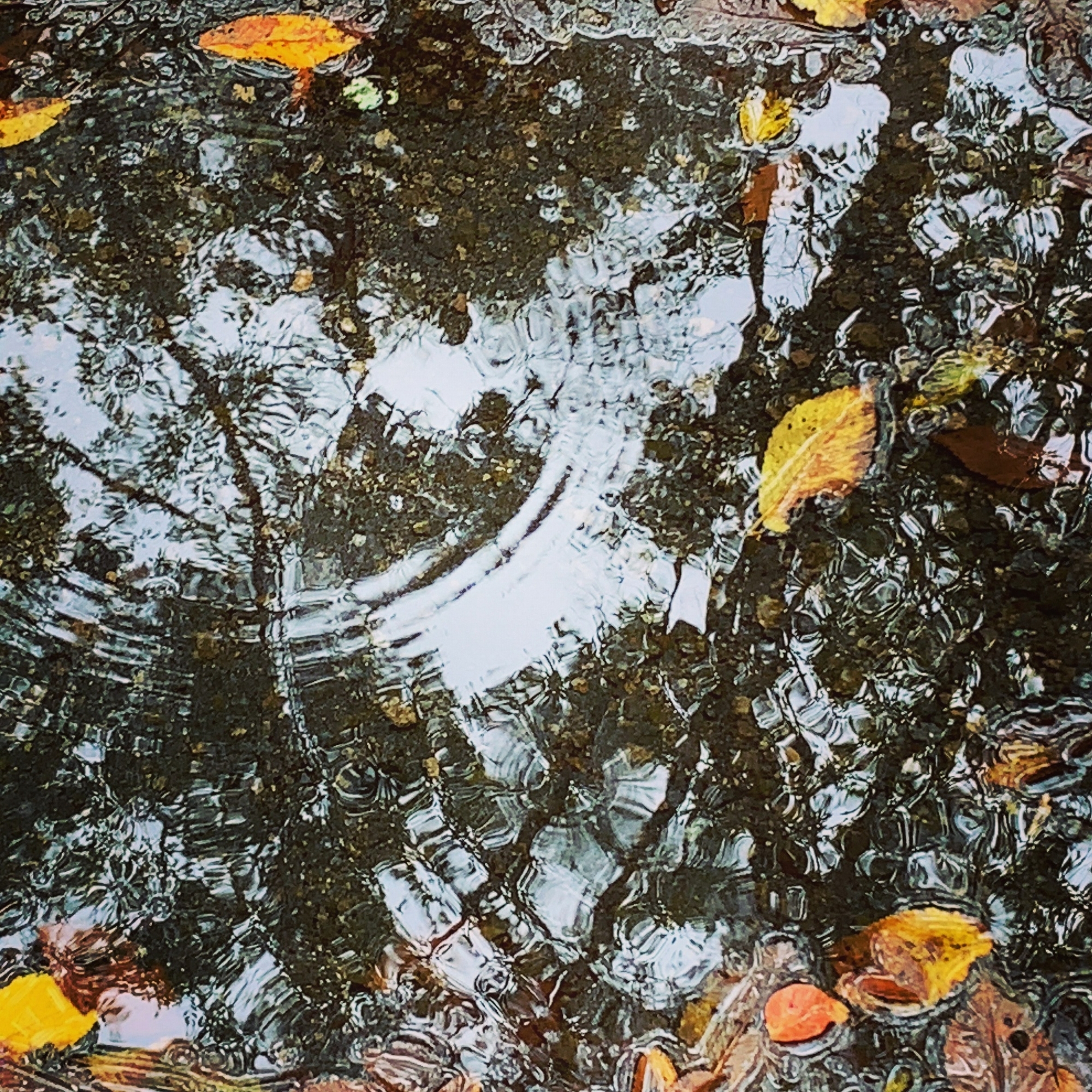 雨粒ドロップス