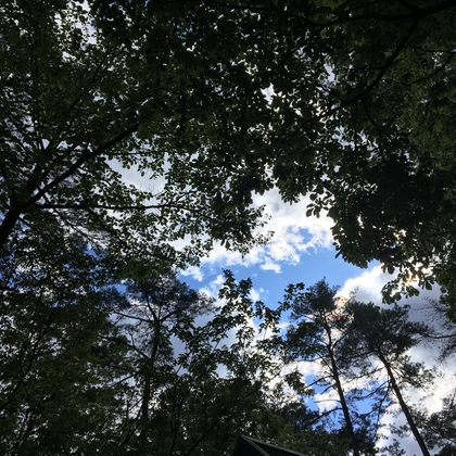 白州 - カエルの鳴き声01 (バイノーラル録音)