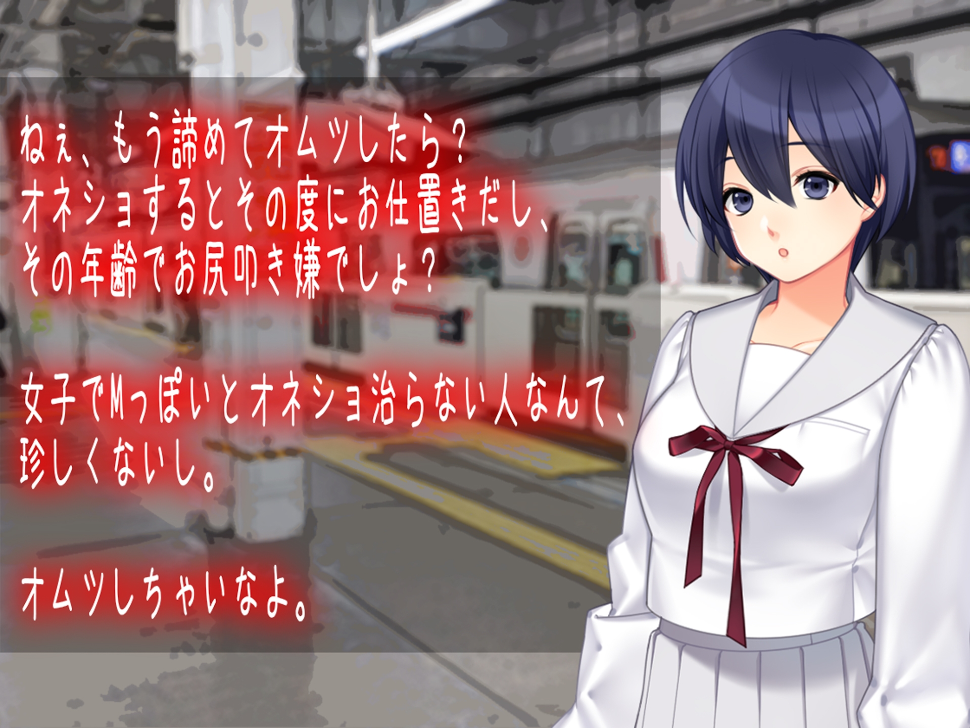 月刊お漏らしの躾 23年5月号