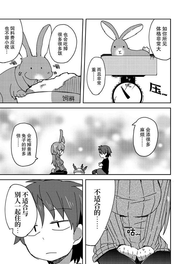 【簡体中文版】返品うさぎ