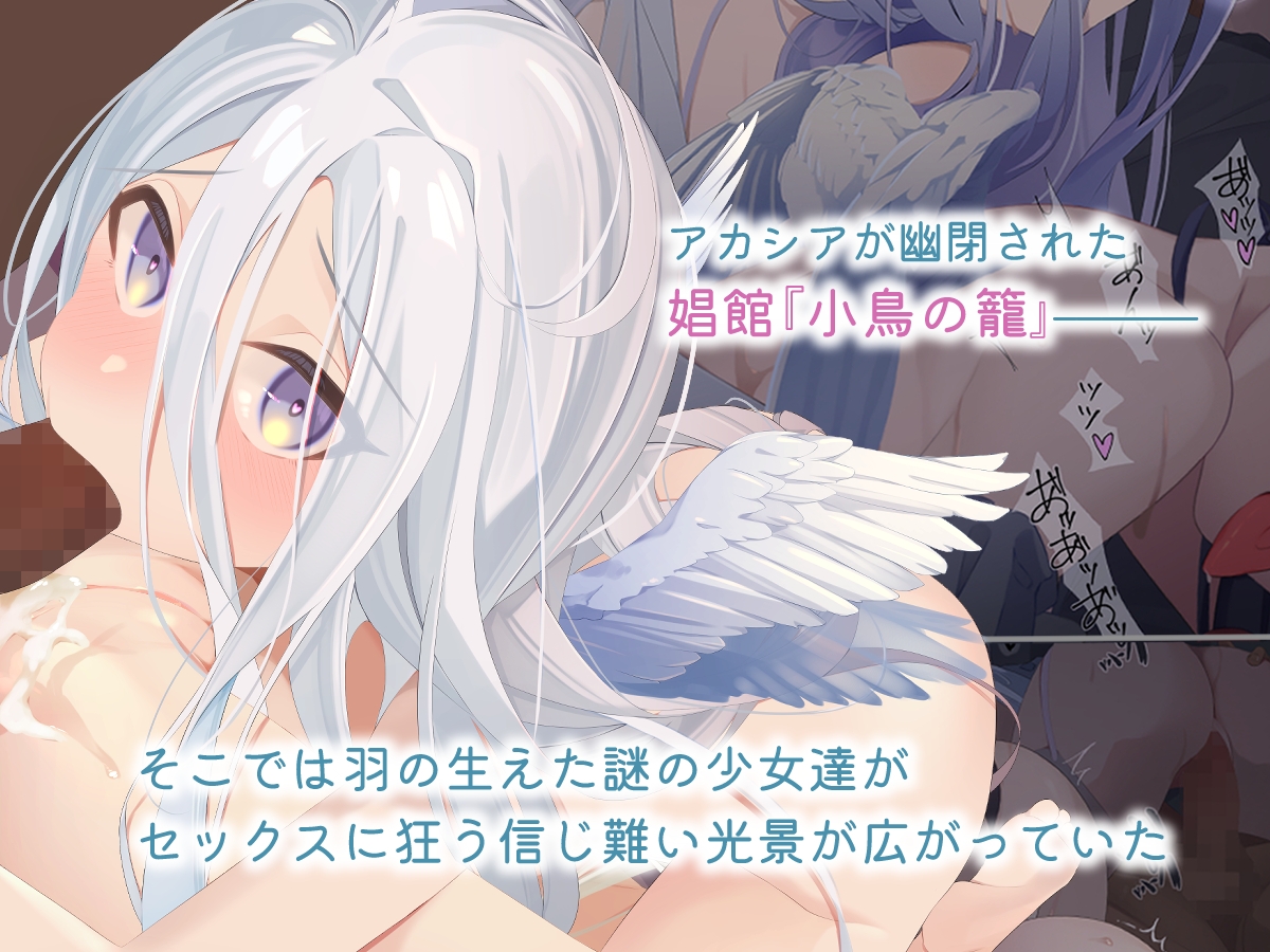 魔術師少女アカシアは鳥になった