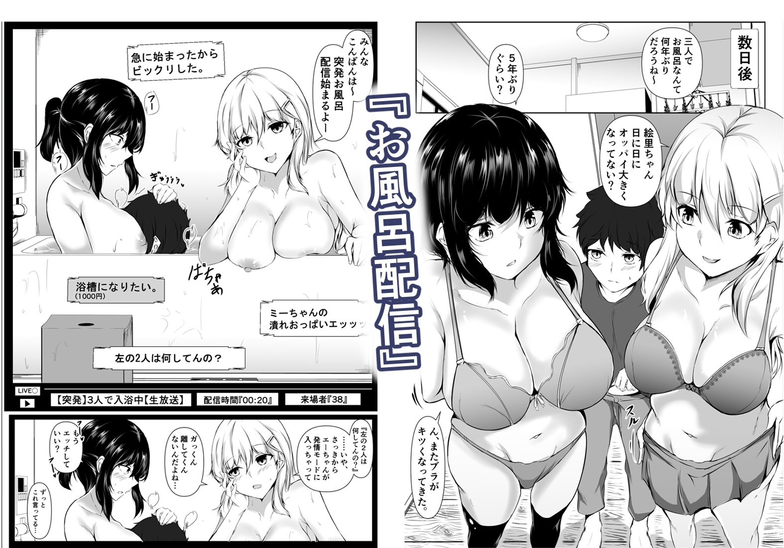 僕の家が幼馴染のお姉ちゃん達の配信部屋にされてる件