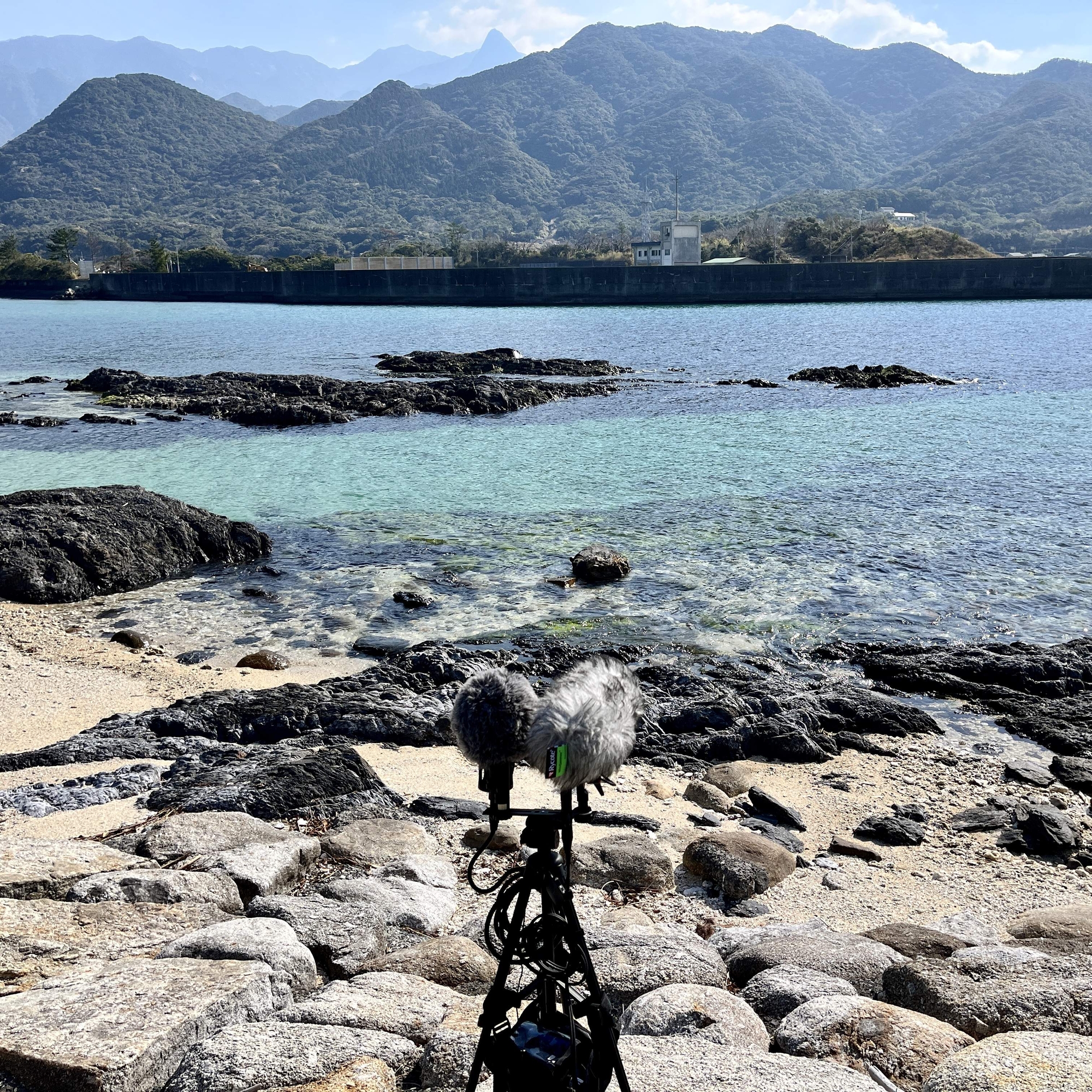 屋久島 - 塚崎タイドプール 10:12am