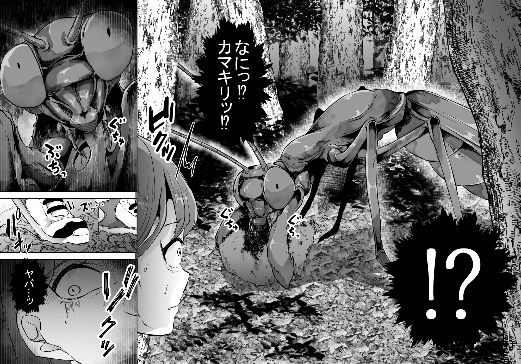 蟷螂享楽