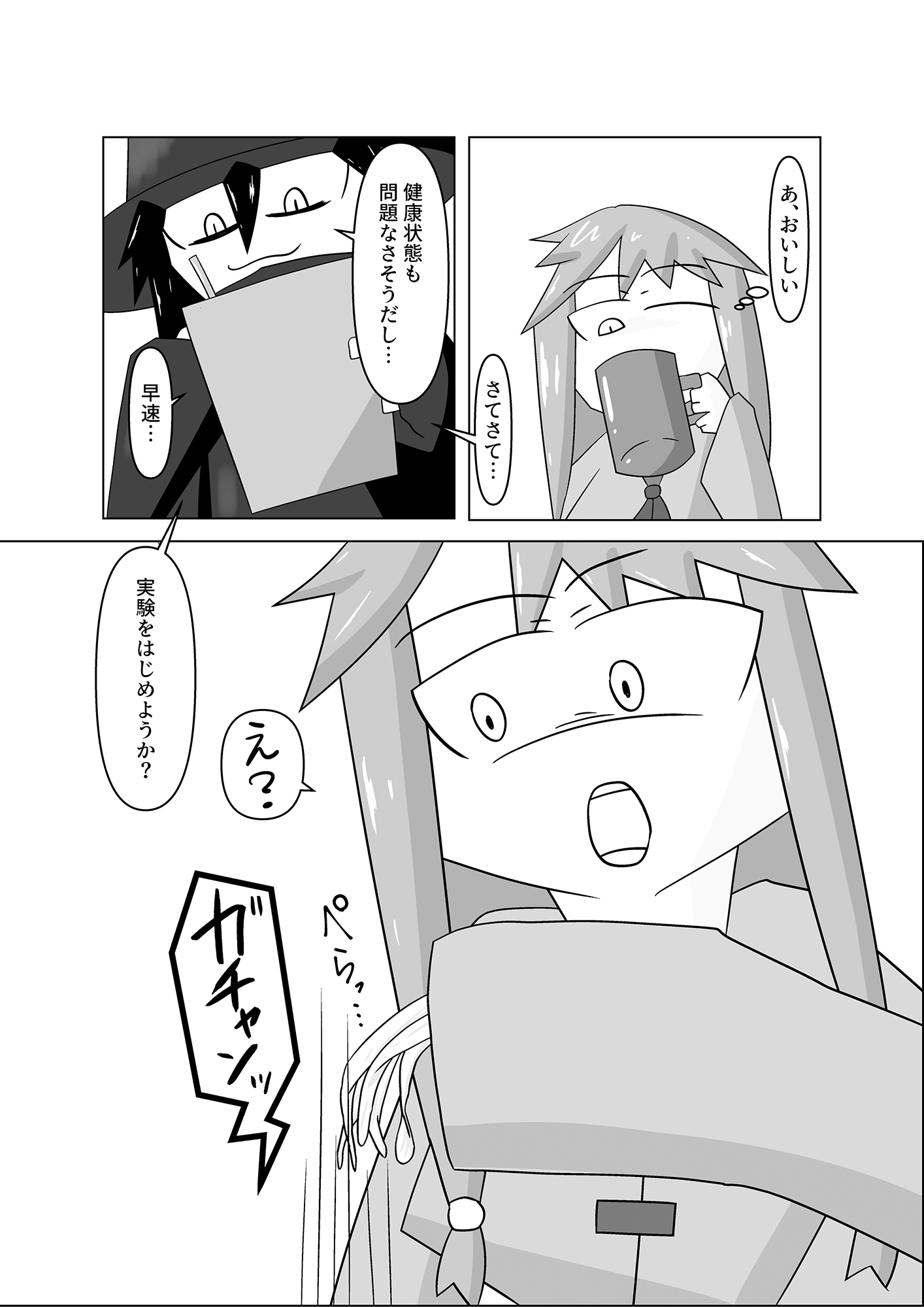 平面姦〜平面化されて挿れられる女たち〜