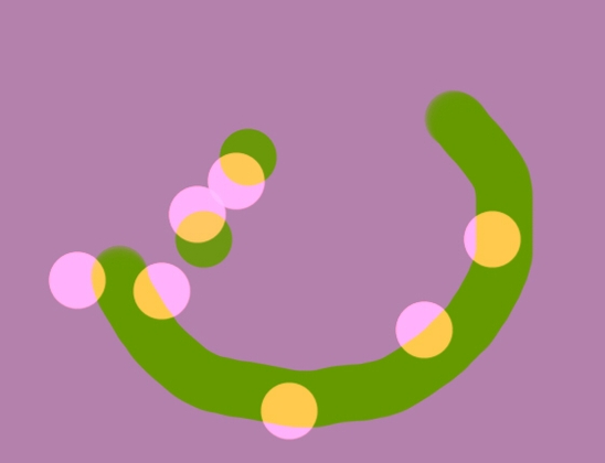 アメリカンバービードゥ