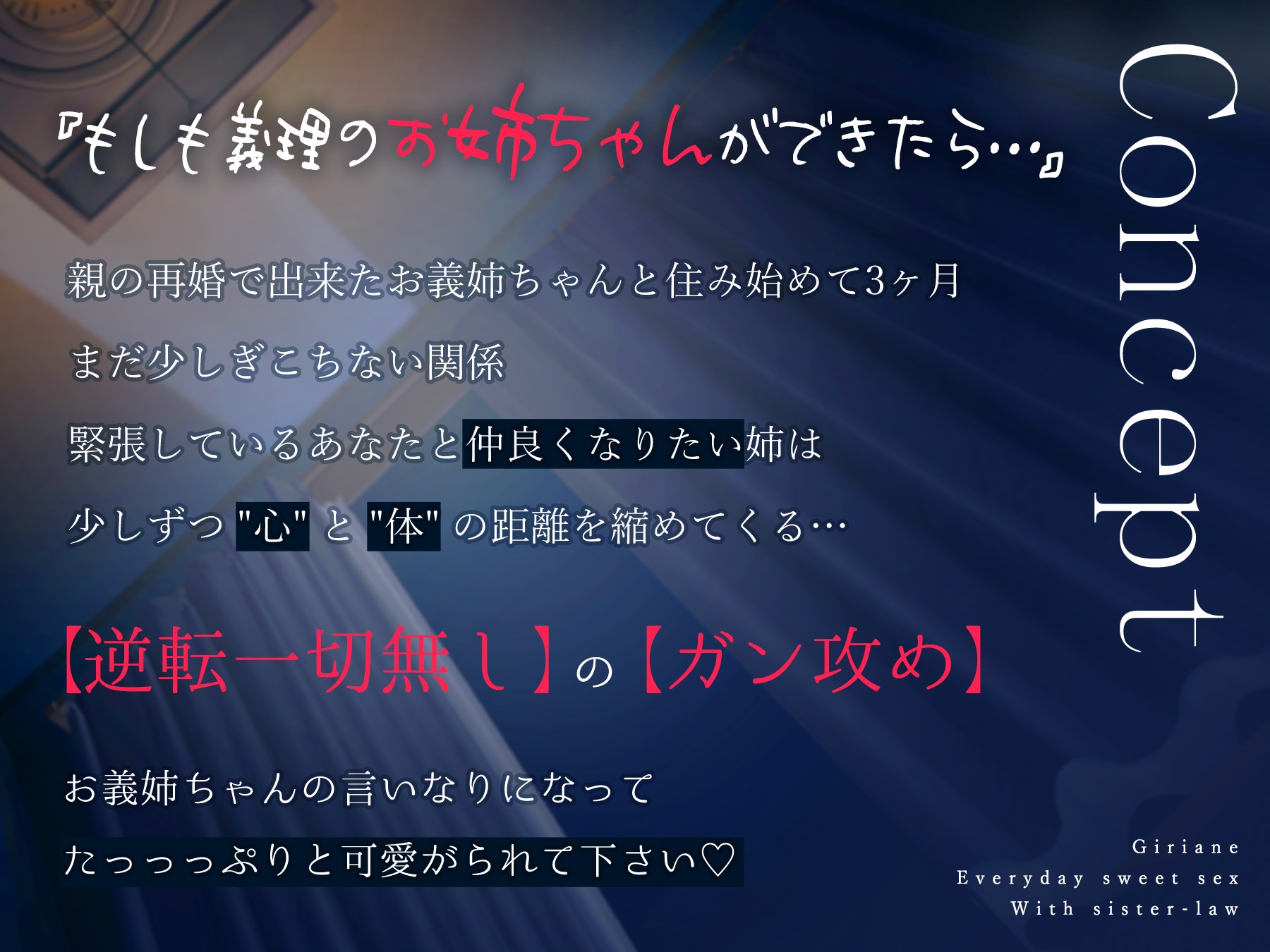 【簡体字版】義理あね。