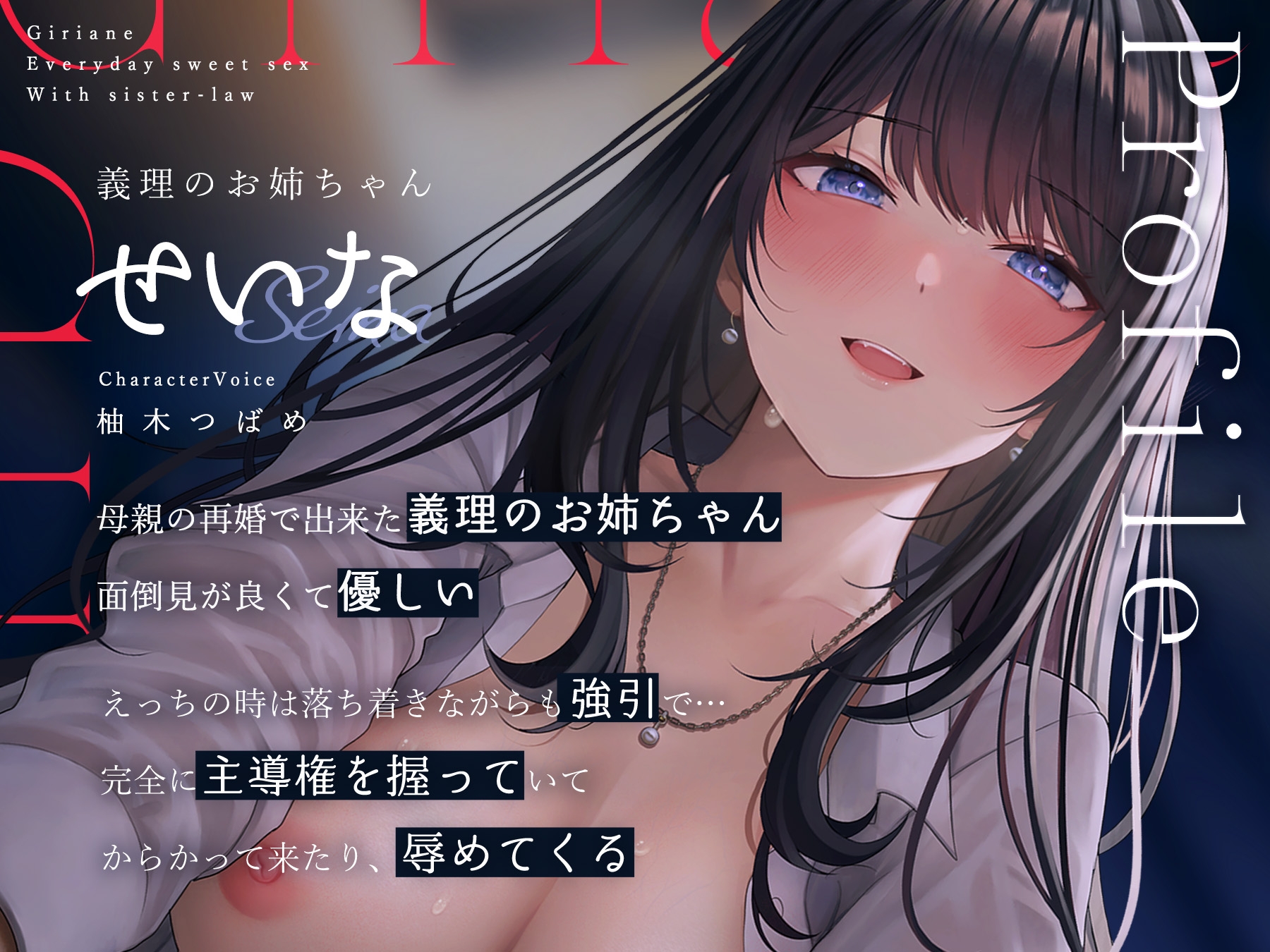 【簡体字版】義理あね。
