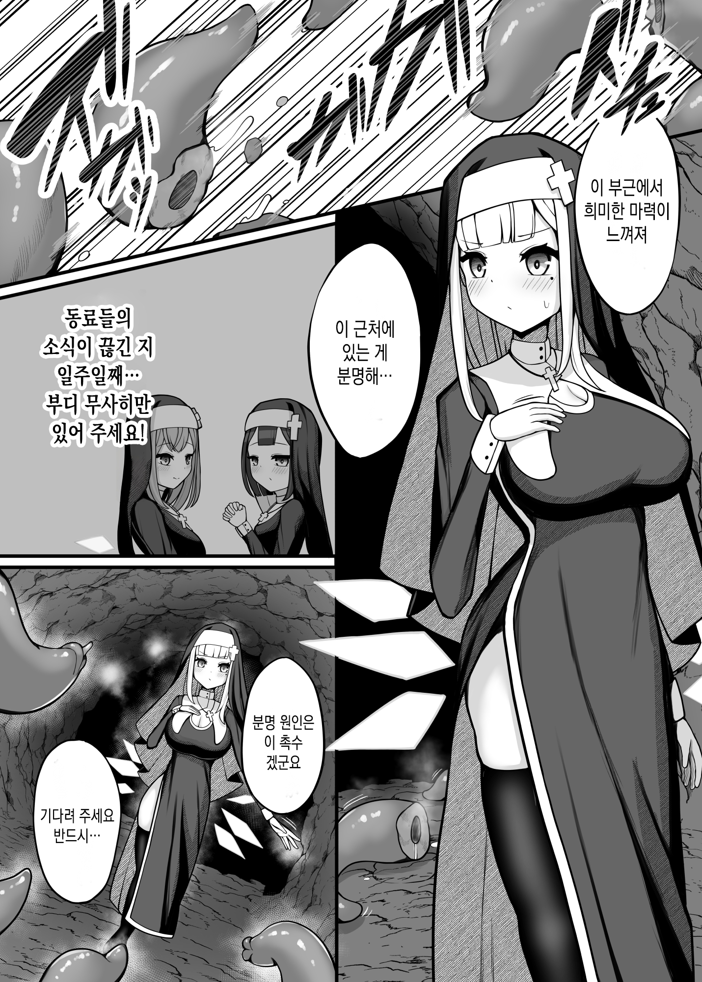 【韓国語版】退魔シスター触手苗床本