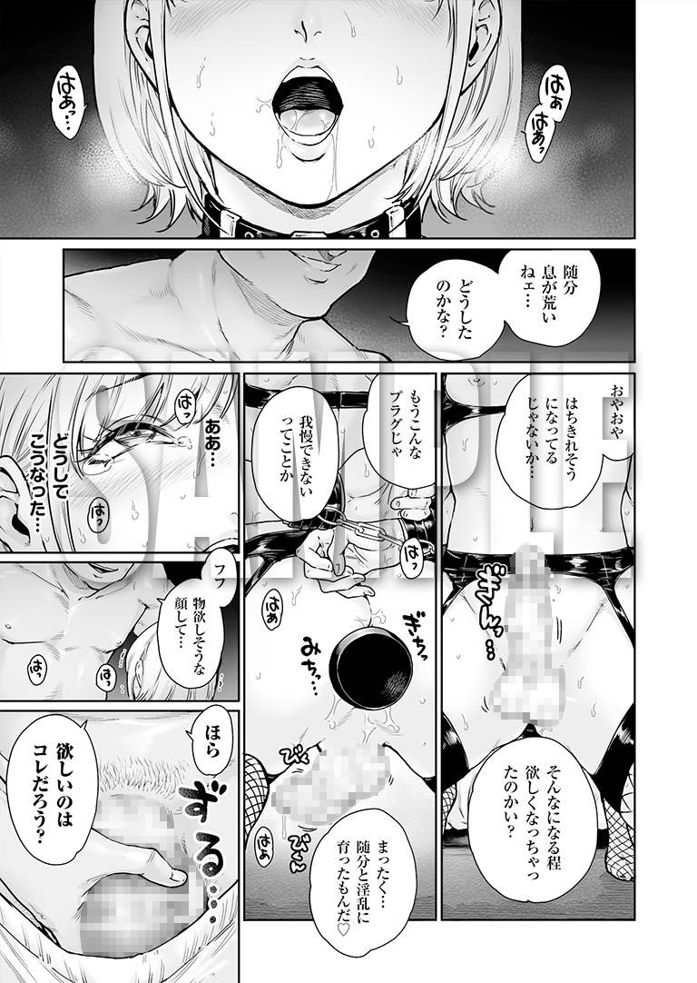 ほりっく ～オジサマの極太中毒に堕とされちゃいました