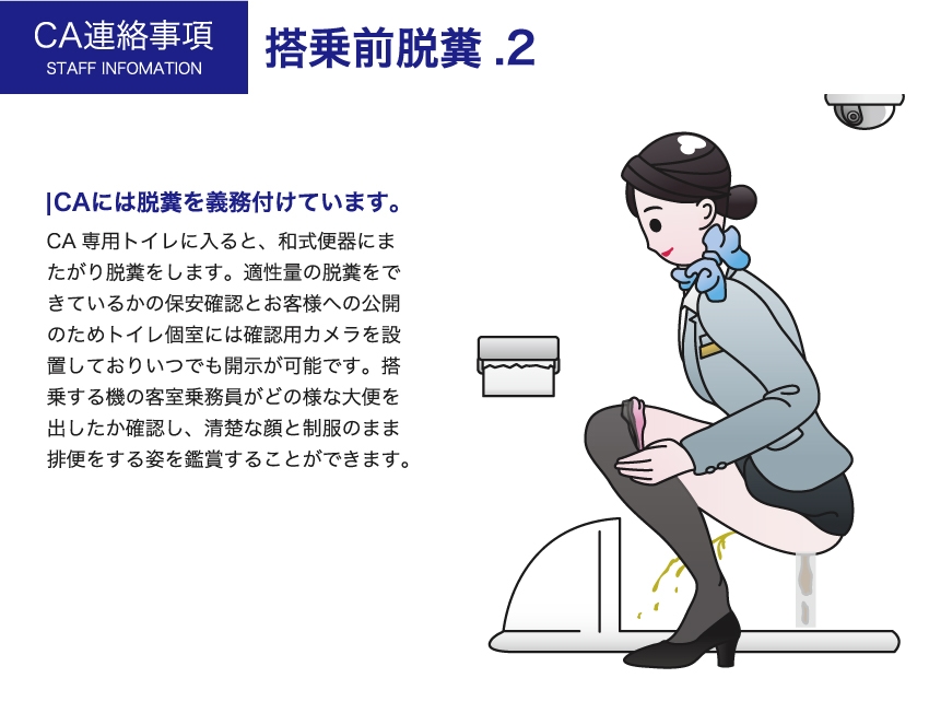 性欲処理航空〜機内性交サービスのご案内〜