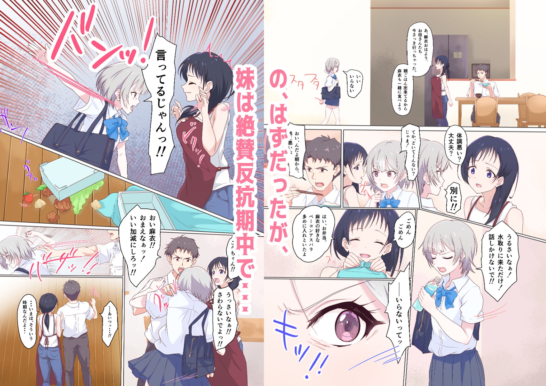 快楽姉妹～俺のことが大好きすぎる姉ちゃんと妹のとある1日～