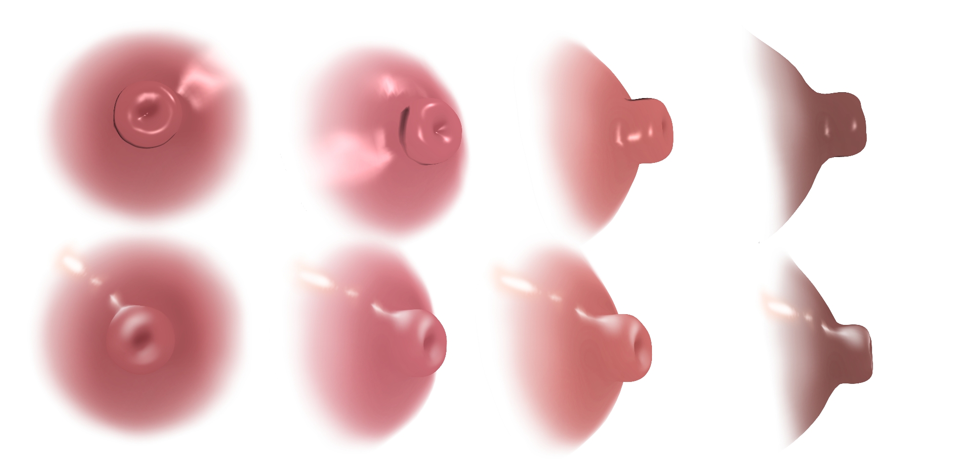 3D Woman Nipple for CSP