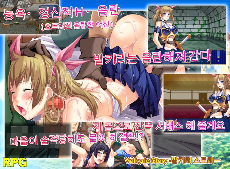 Valkyrie Story --발키리 스토리ー--