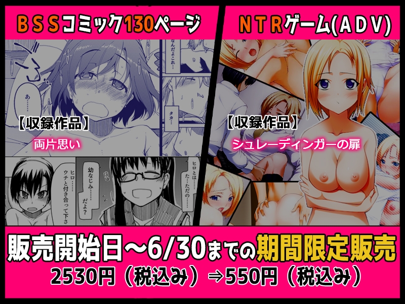 【期間限定販売】寝取られジャンルお得セット