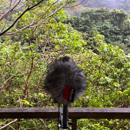 雨 - 久米島・白瀬川 07:49am