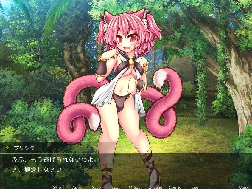 ふたなり逆アナル～ふたなり猫娘に犯される僕～