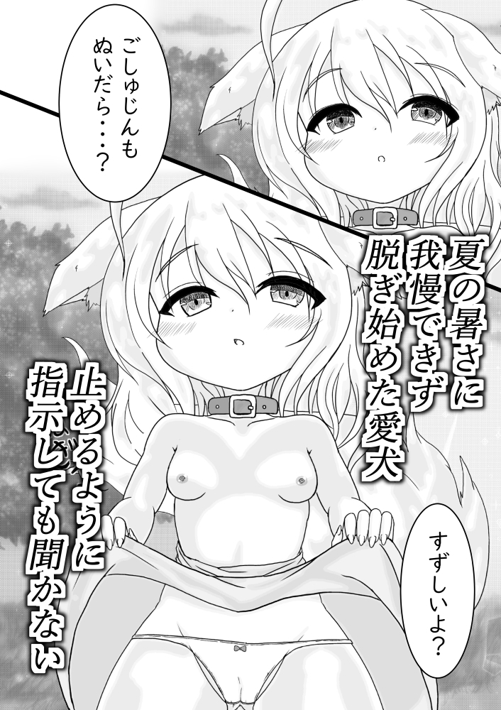 愛犬の正しい教育方法