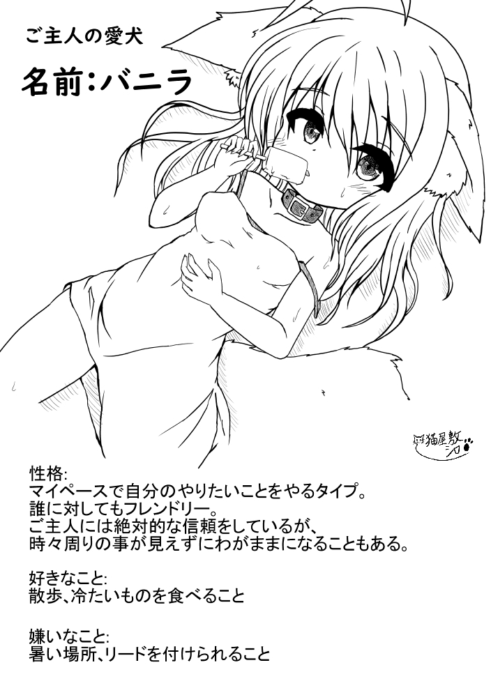 愛犬の正しい教育方法