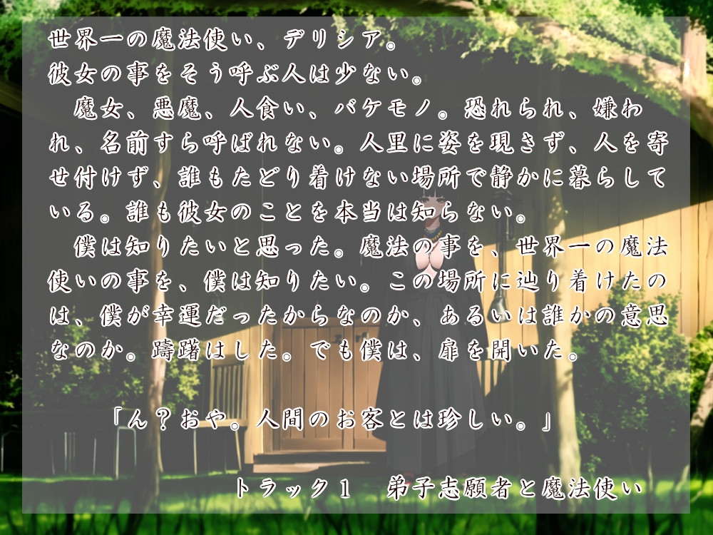 魔法使いとその小さな弟子