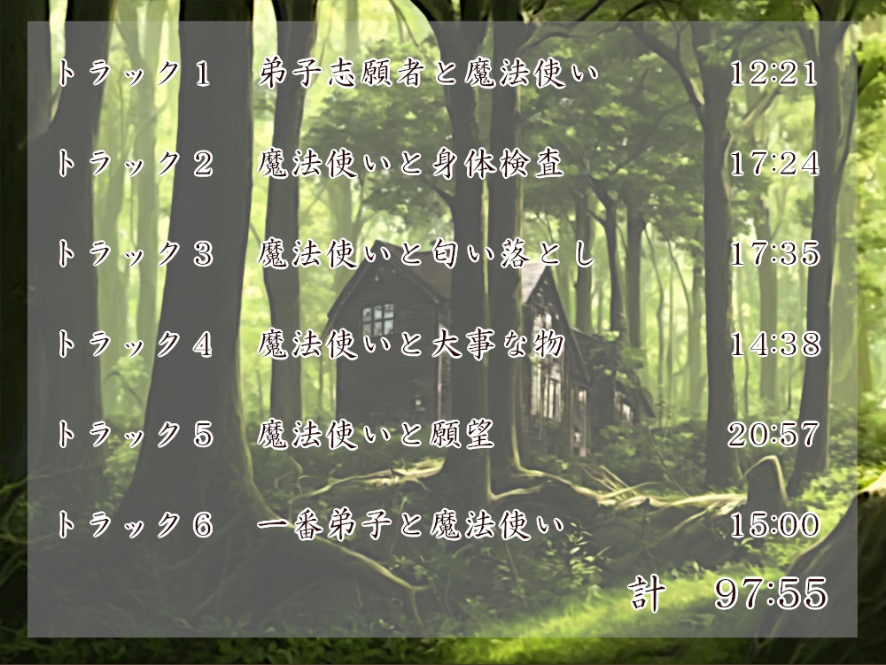 魔法使いとその小さな弟子