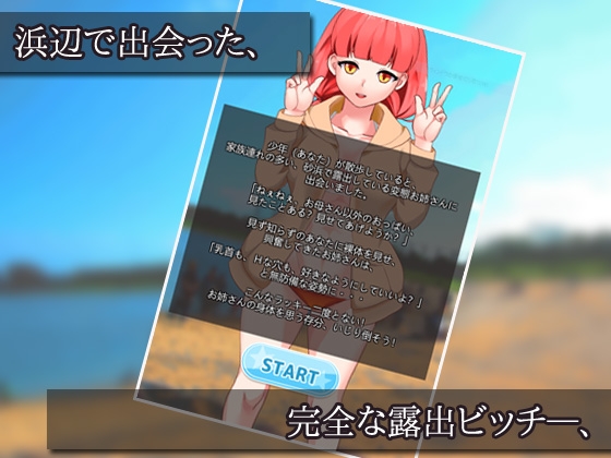 【2本セット!!】露出ビッチ～「好きなだけイラズラ」編&「男子校で肉便器」編～大人の変態ゲーム