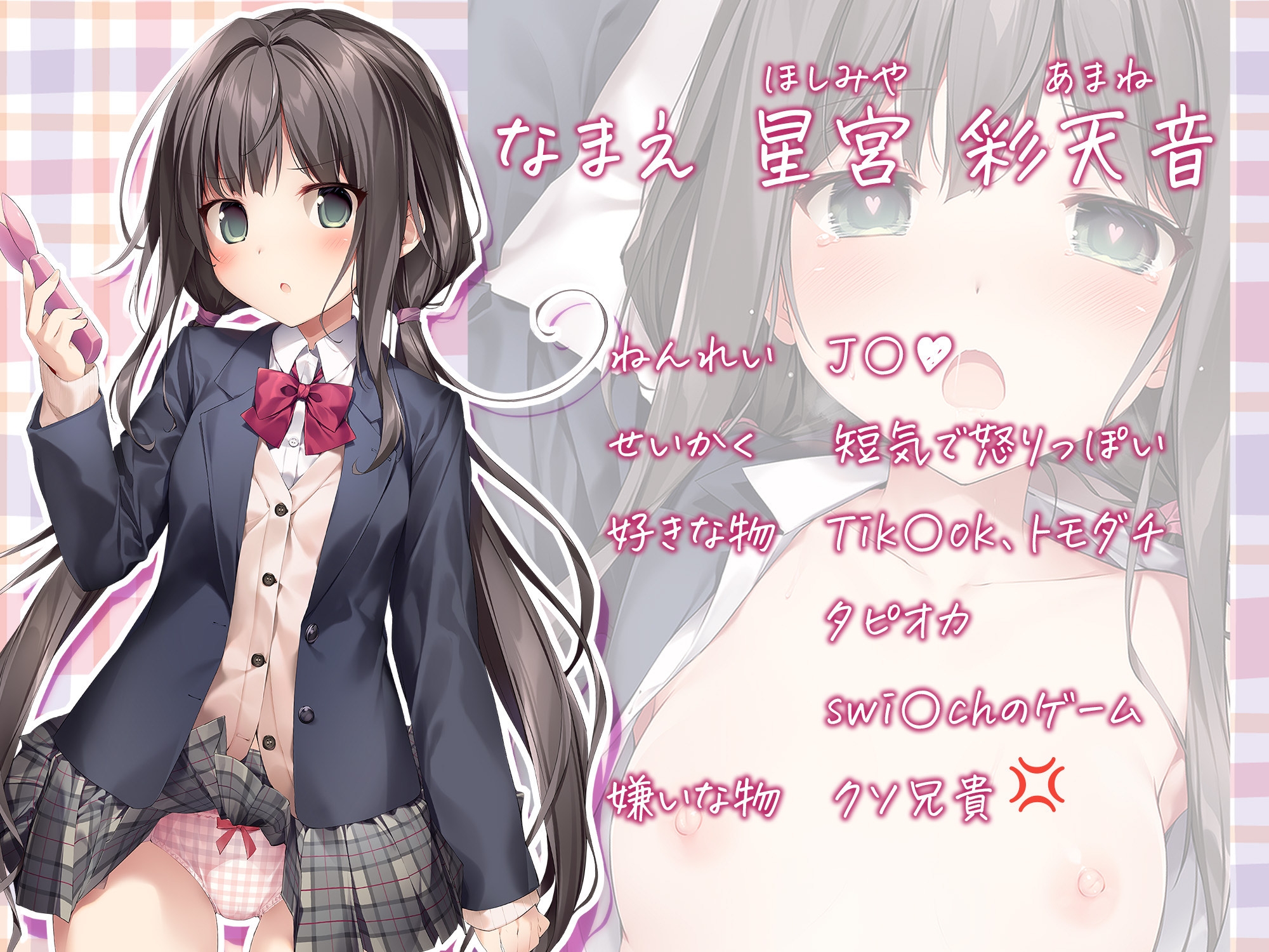 妹と(催眠で)イチャイチャする本2