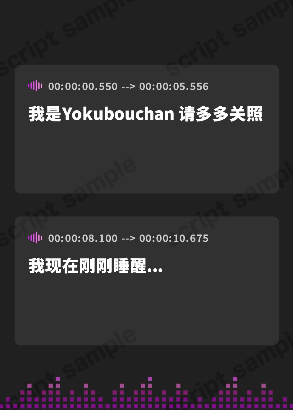 【簡体中文版】✨初回限定価格✨オナニー実演✨THE FIRST TRACK✨よくぼうチャン✨