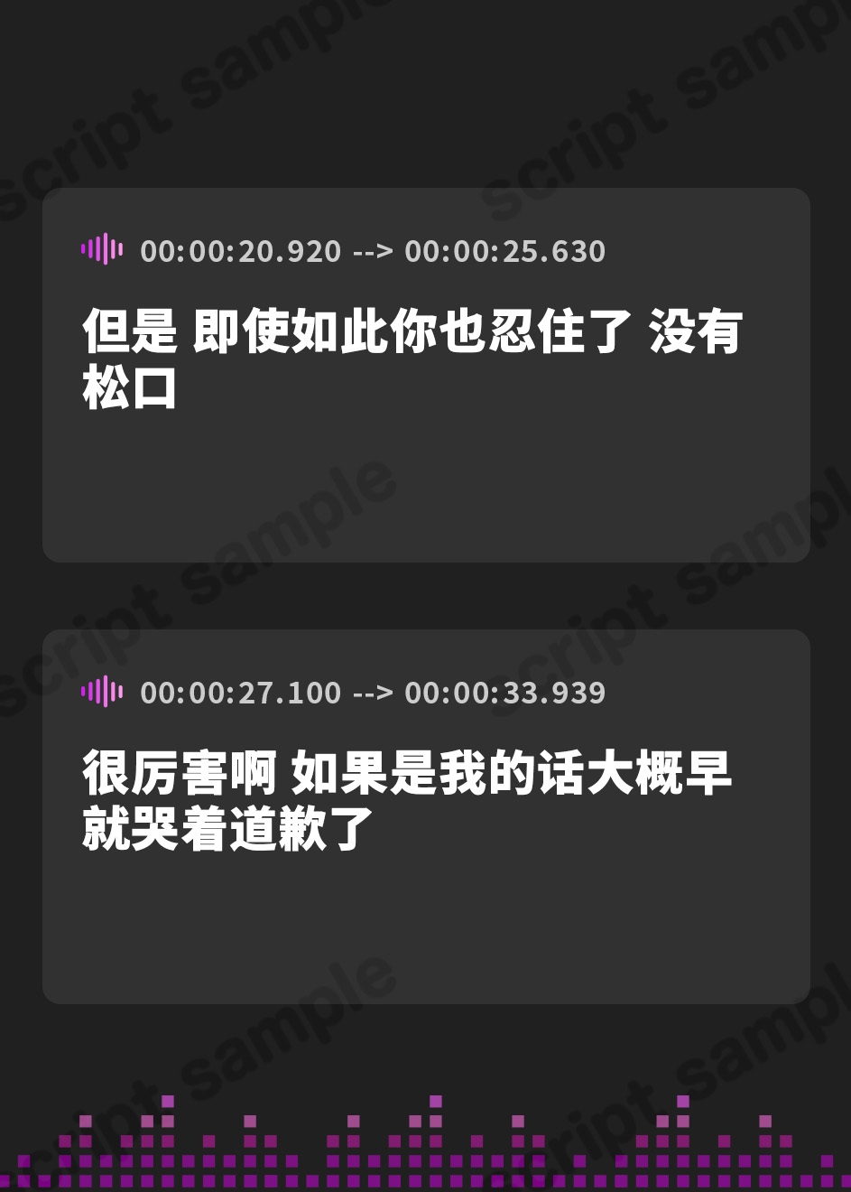 【簡体中文版】サイレント・バット・デッドリー ver.M