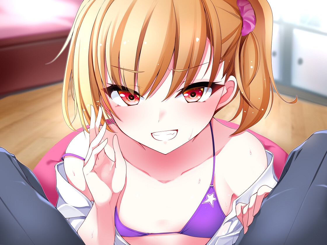 [発売30%OFF!!]メスガキわからせ日記(生意気な教え子編)【KU100】