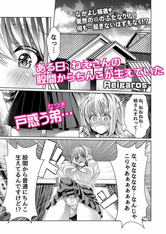 僕のおねえちゃんにちんぽが生えた!!