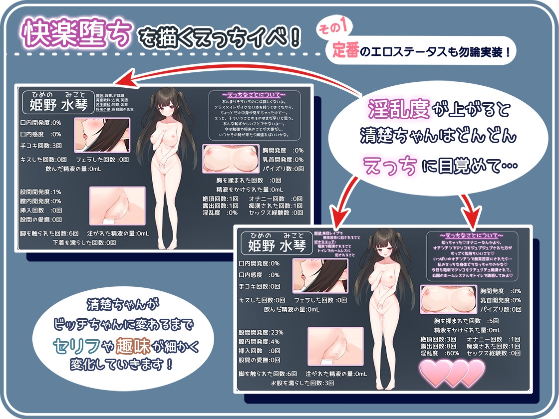 せいそ・ざ・びっち ~清楚ちゃんのセクハラ売春性活~