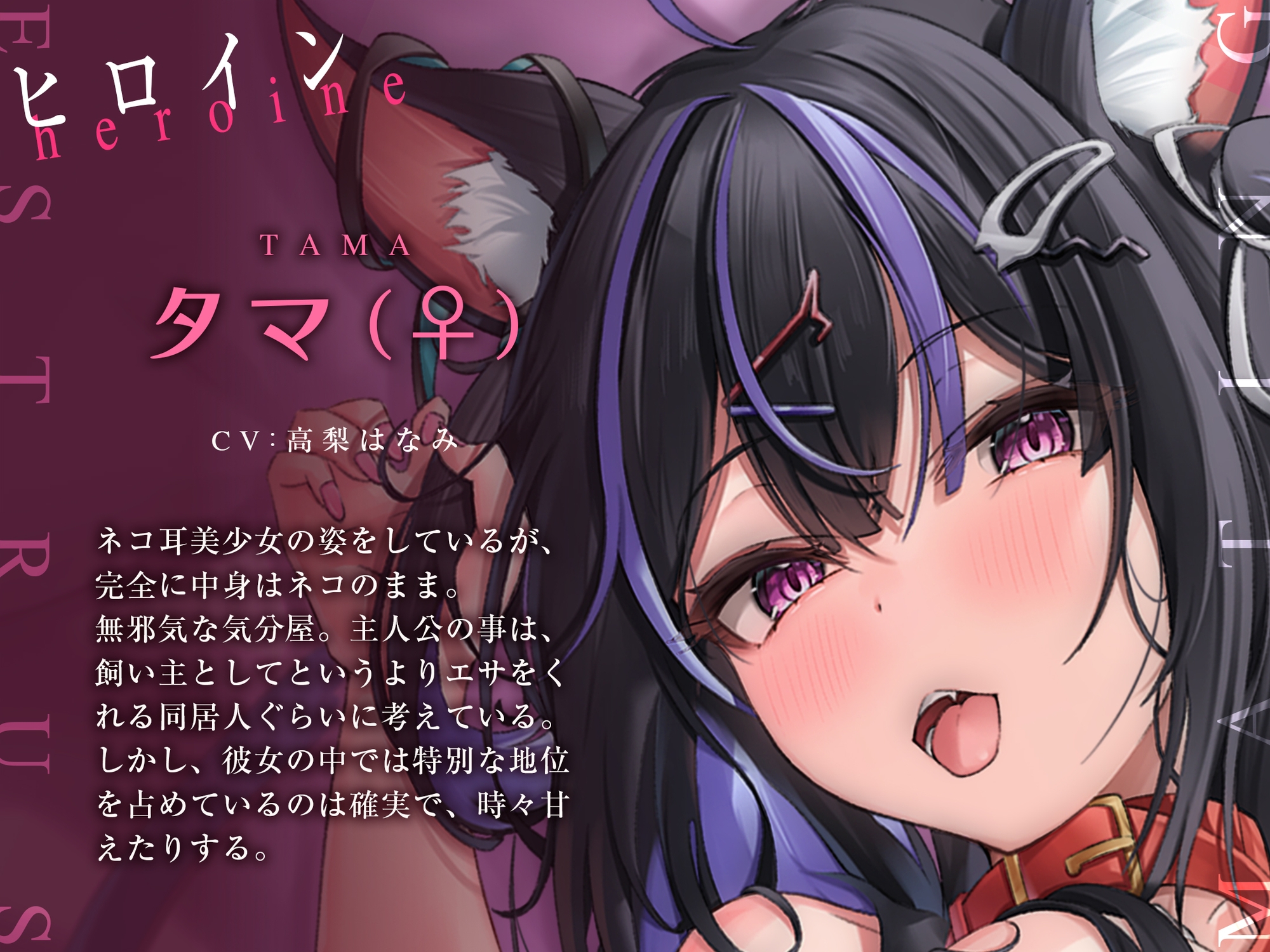 【全編「にゃー」しか言わない音声】ネコと一緒